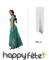 Silhouette Jasmine du film Aladdin taille réelle