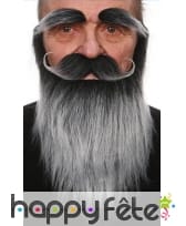 Set moustache, barbe et sourcils gris