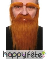 Sourcils, moustaches et barbe rousse