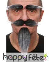 Set, petite barbe, moustaches, sourcils poivre sel