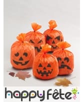 Sachets visage de citrouille de 15x20 cm