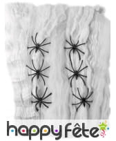 Toile araignée, image 1