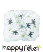 Toile araignée, image 2