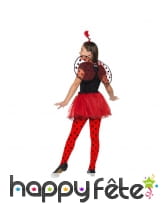 Tutu, ailes et antennes de petite coccinelle, image 1