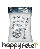 Toile d'araignee avec 25 araignees, image 1