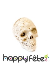 Tête de mort marque-place résine 4,5cm