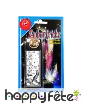 Tour de magie, pièce qui disparait