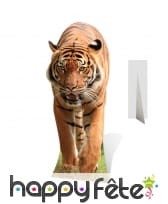 Tigre en carton plat, taille réelle