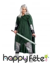 Tenue elfe médiéval vert et argenté pour homme