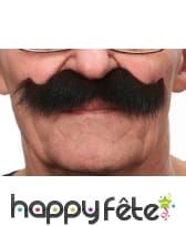 Très grosses Moustaches brunes