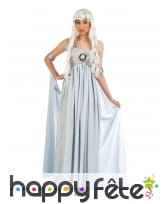 Tenue robe longue et voile Empire bleue et grise