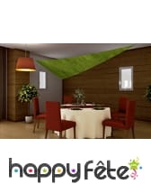 Tenture/voile anis de1.5 x 4 m