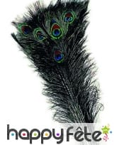 Véritable plume de paon bleu vert de 70cm