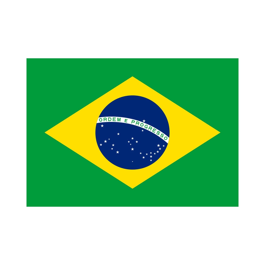 Drapeau Brésil (100x150)