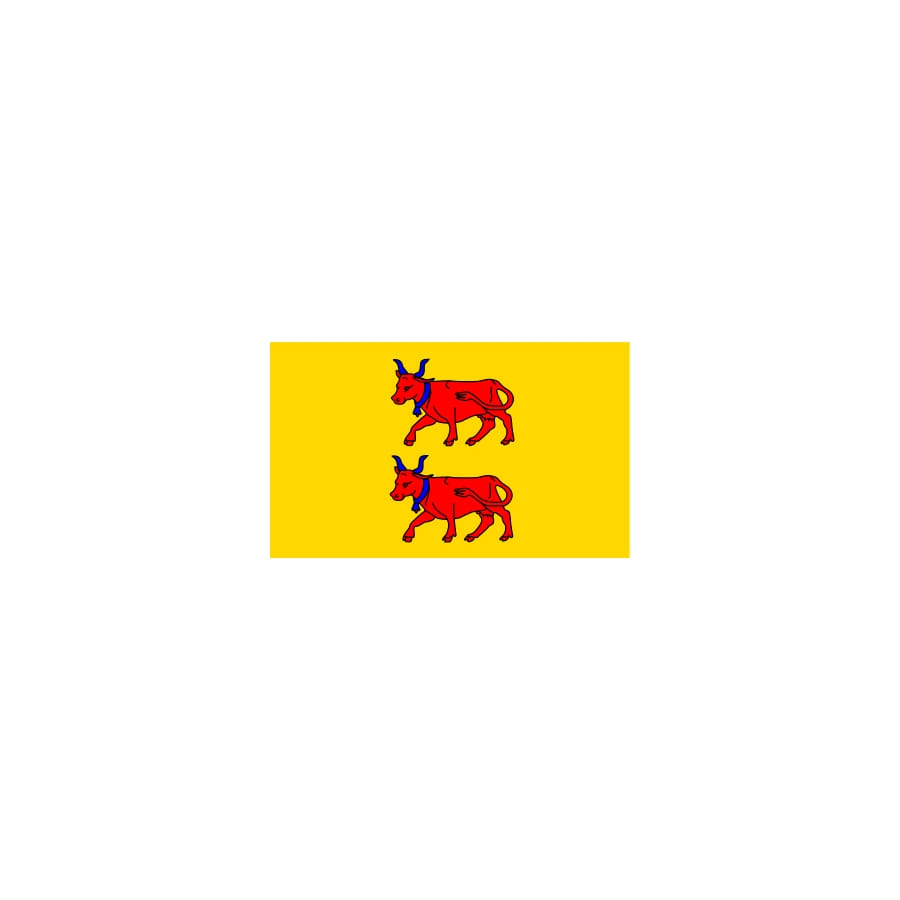 Drapeau Bearn province 100x150 