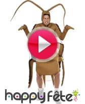 vidéo Costume de cafard marron