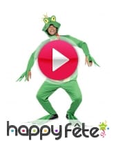 vidéo Costume de grenouille verte