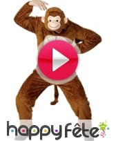 vidéo Costume singe