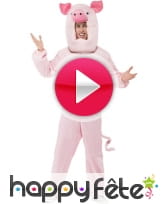 vidéo Déguisement de cochon rose