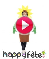 vidéo Déguisement de Tournesol