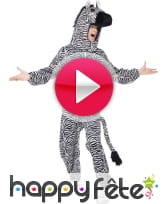 vidéo Déguisement de zèbre