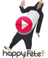vidéo Déguisement homme pingouin