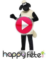 vidéo Déguisement Shaun le mouton